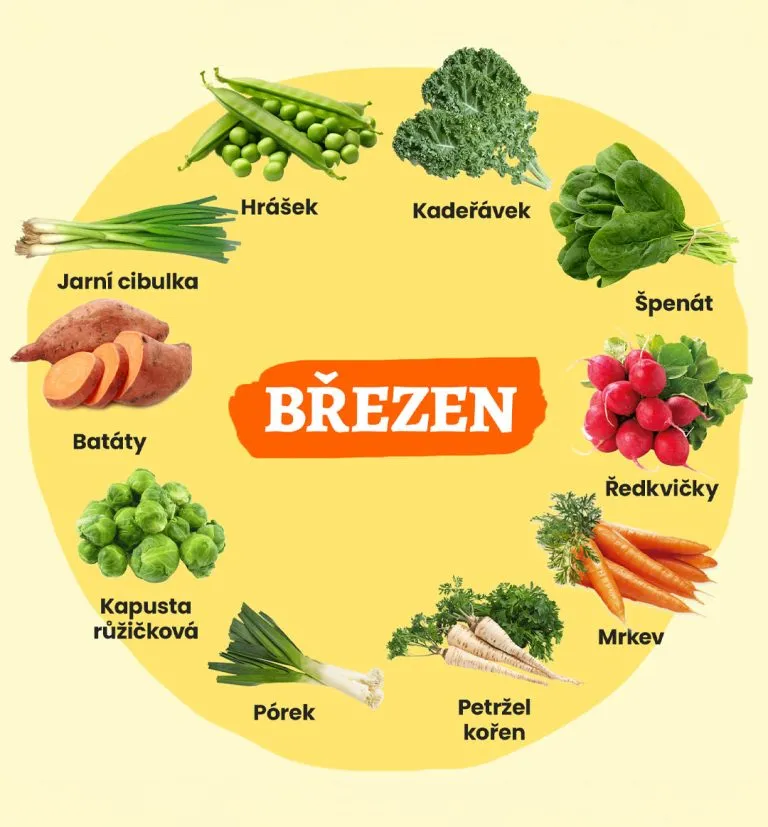 Sezónní ingredience