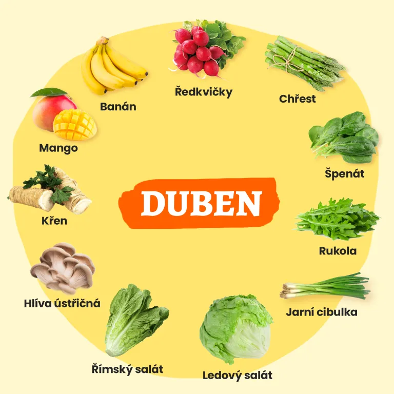 Sezónní ingredience