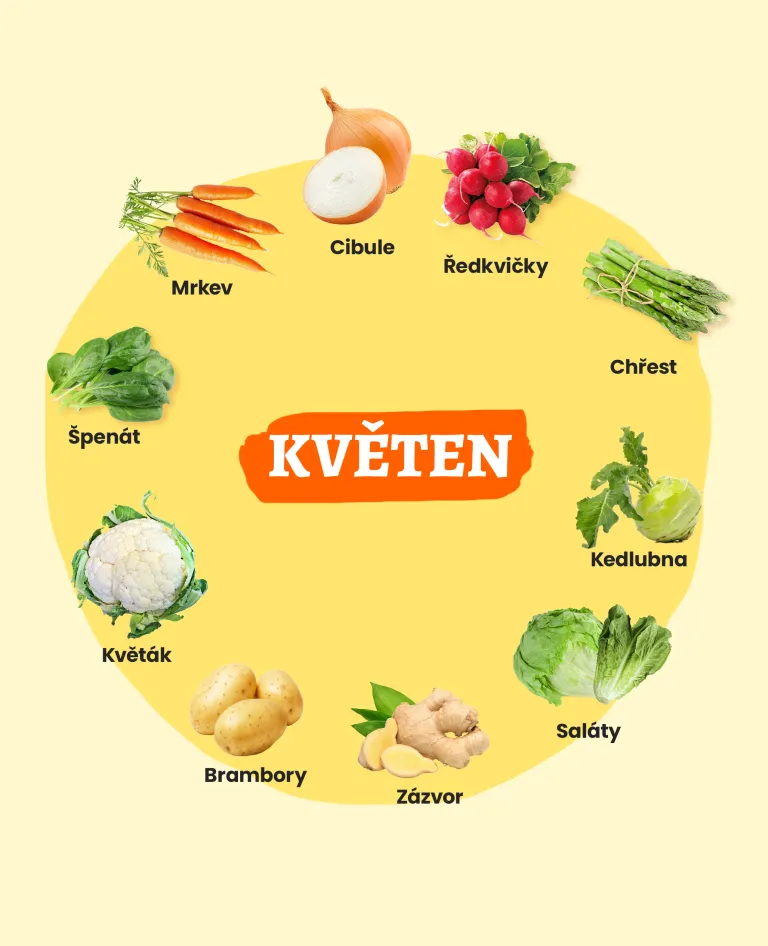 Sezónní ingredience