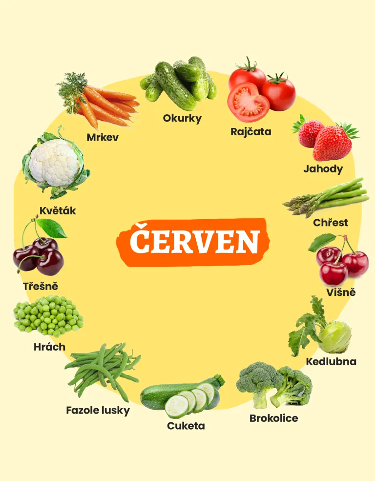 Sezónní ingredience