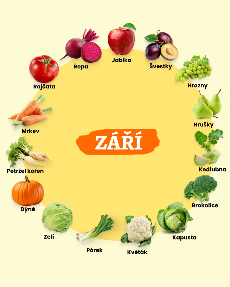 Sezónní ingredience