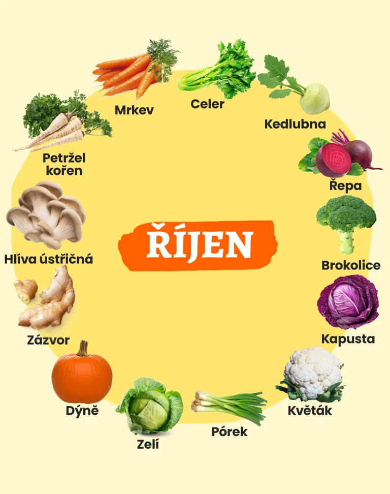 Sezónní ingredience